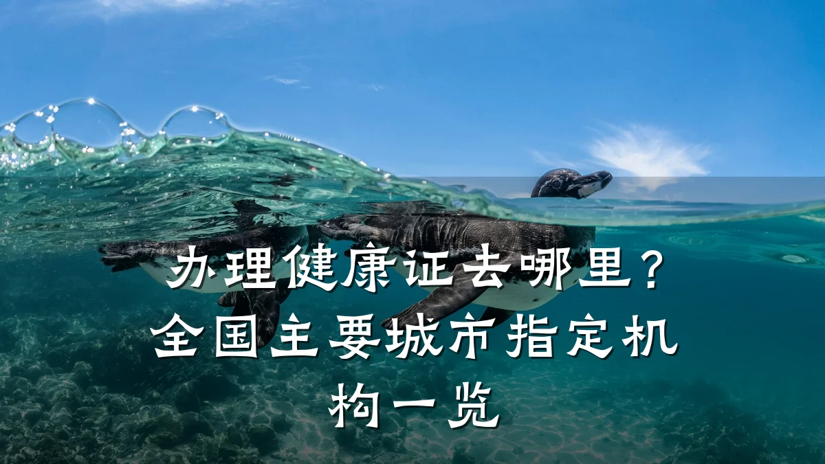办理健康证去哪里?全国主要城市指定机构一览