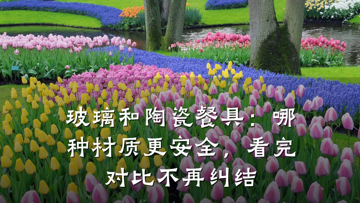 玻璃和陶瓷餐具:哪种材质更安全,看完对比不再纠结
