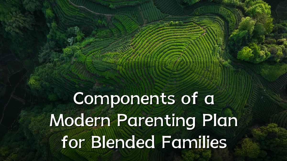 Components of a Modern Parenting Plan for Blended Families