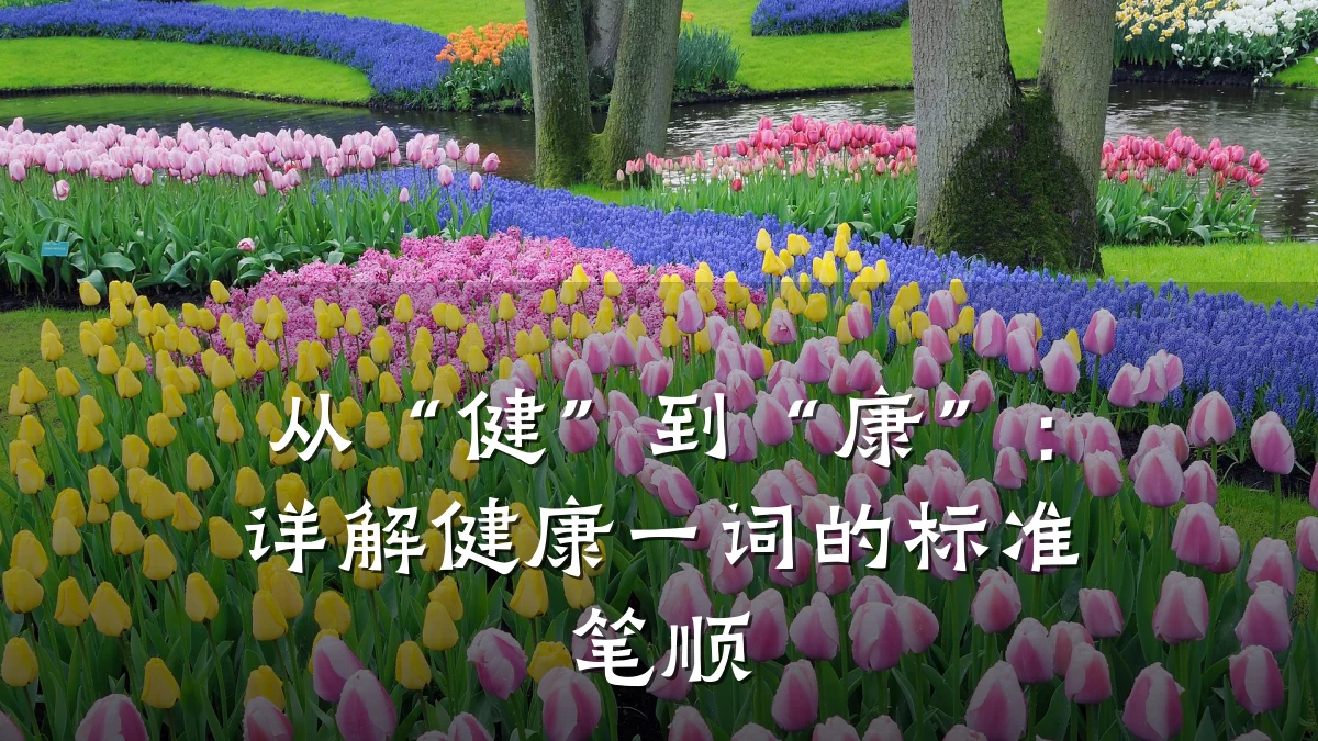 从“健”到“康”:详解健康一词的标准笔顺