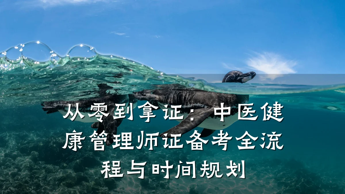 从零到拿证：中医健康管理师证备考全流程与时间规划