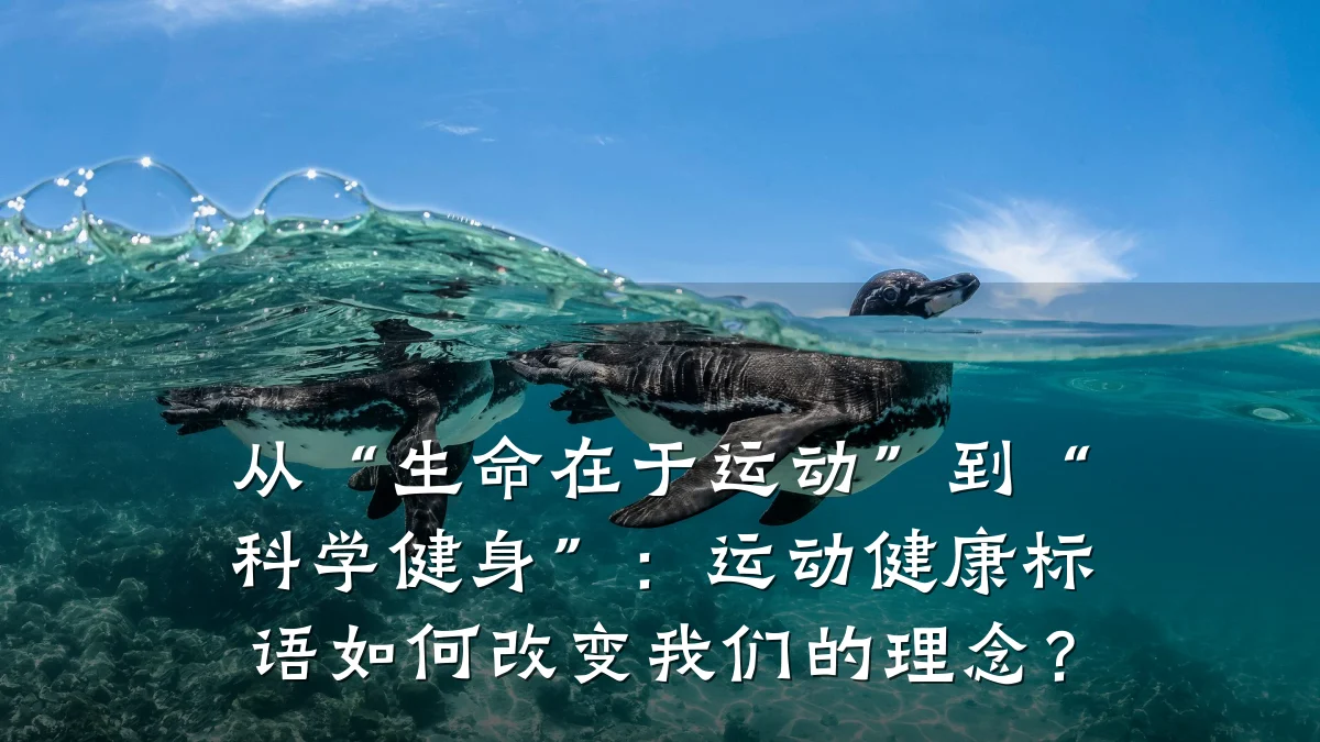 从“生命在于运动”到“科学健身”:运动健康标语如何改变我们的理念?