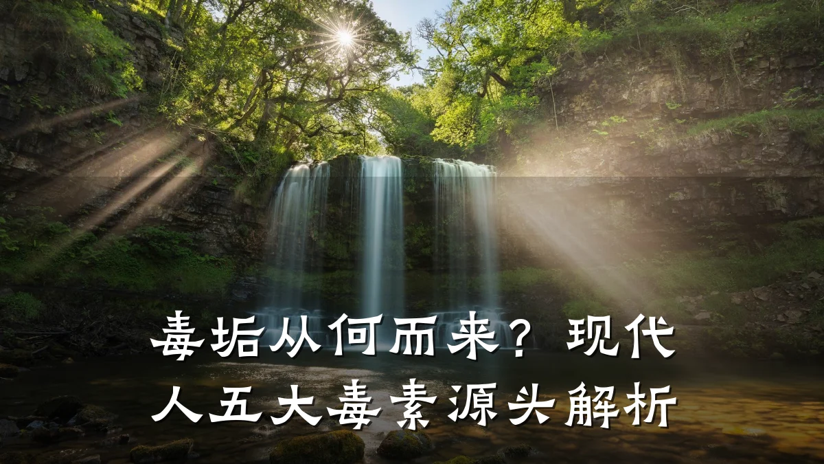 毒垢从何而来?现代人五大毒素源头解析