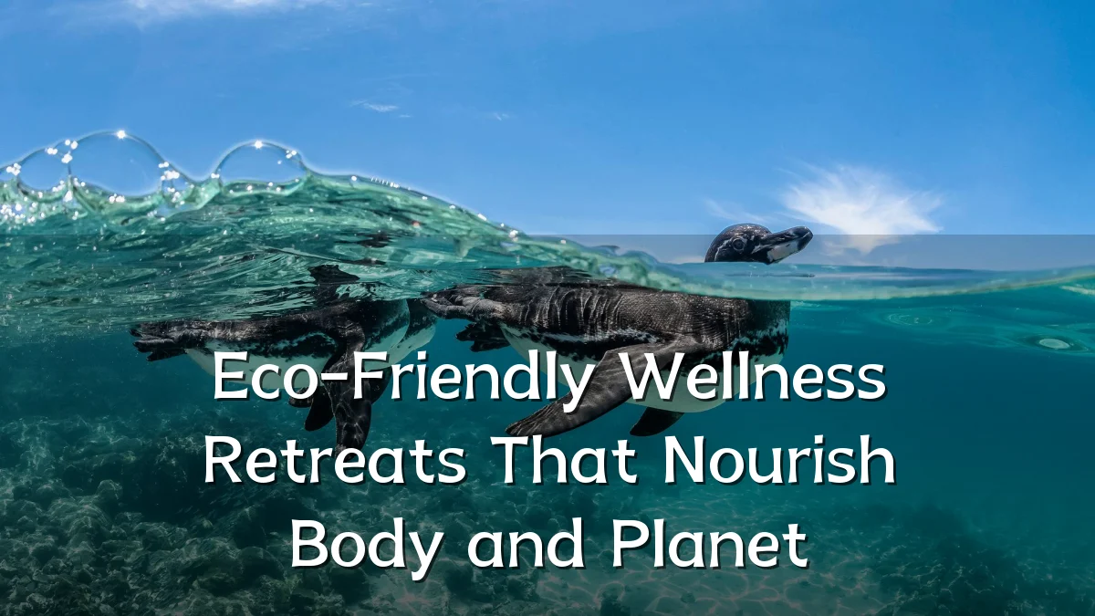 Eco-Friendly Wellness Retreats That Nourish Body and Planet