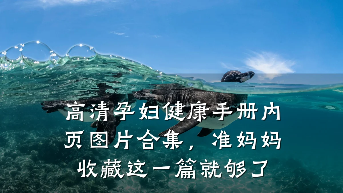 高清孕妇健康手册内页图片合集,准妈妈收藏这一篇就够了