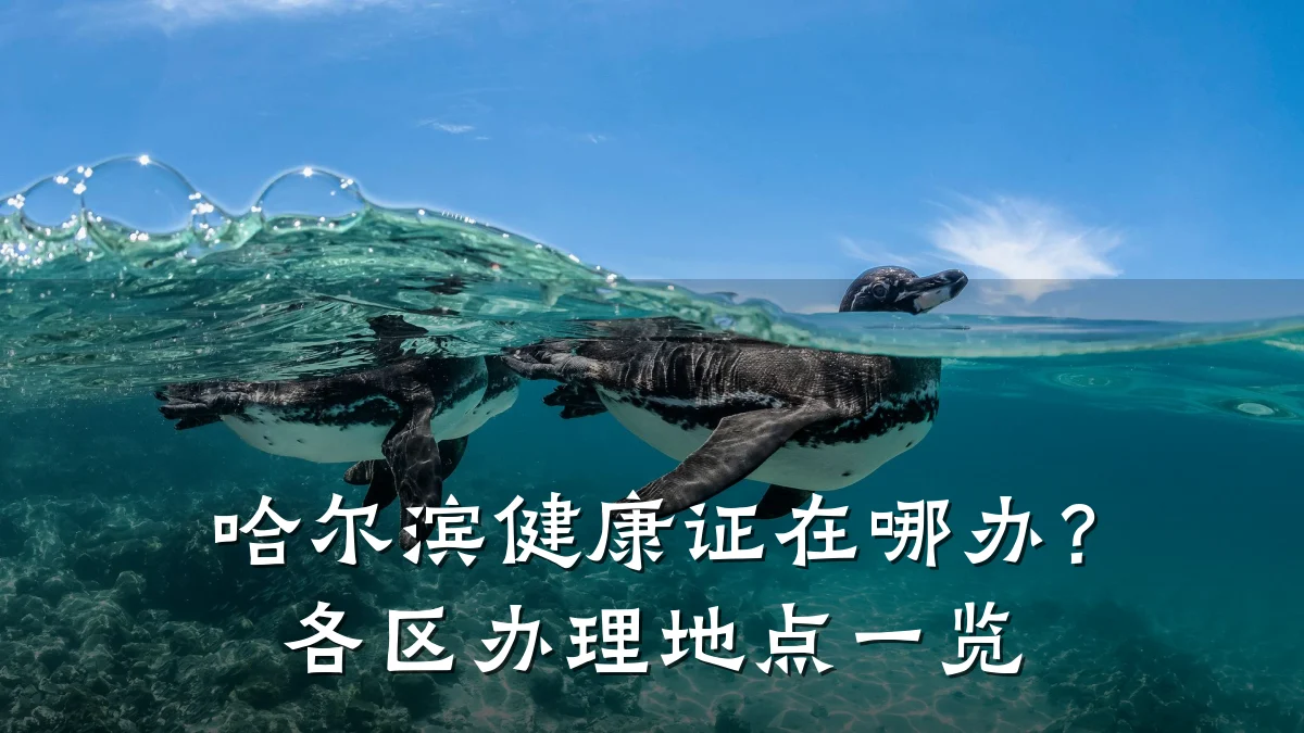 哈尔滨健康证在哪办?各区办理地点一览