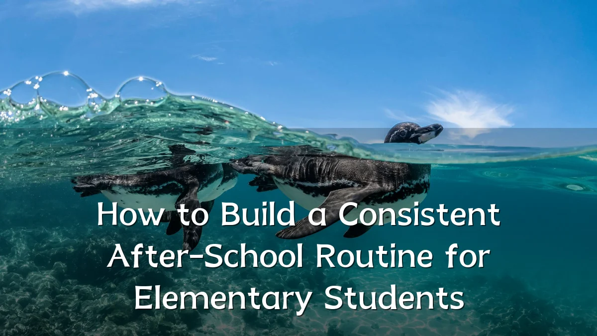 How to Build a Consistent After-School Routine for Elementary Students