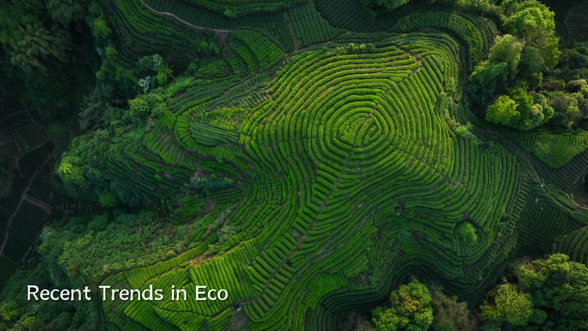 Recent Trends in Eco