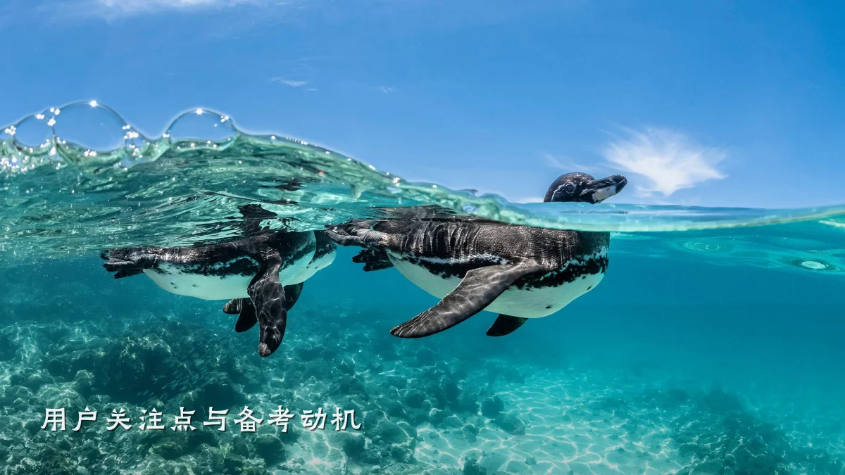 用户关注点与备考动机