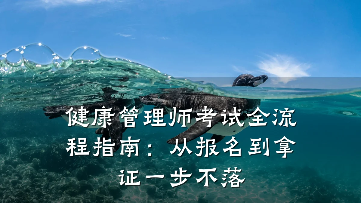 健康管理师考试全流程指南:从报名到拿证一步不落