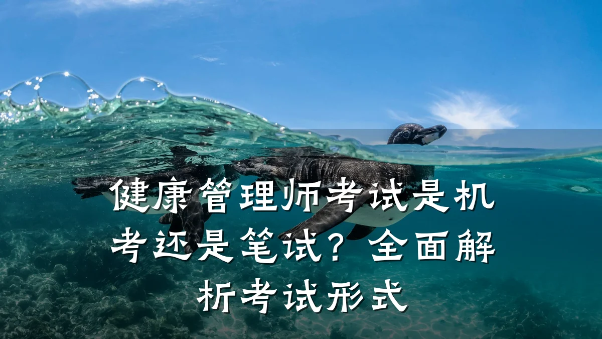 健康管理师考试是机考还是笔试?全面解析考试形式