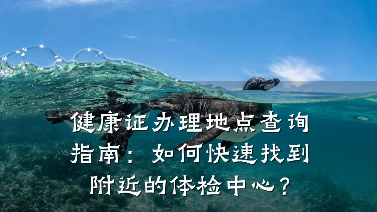 健康证办理地点查询指南:如何快速找到附近的体检中心?