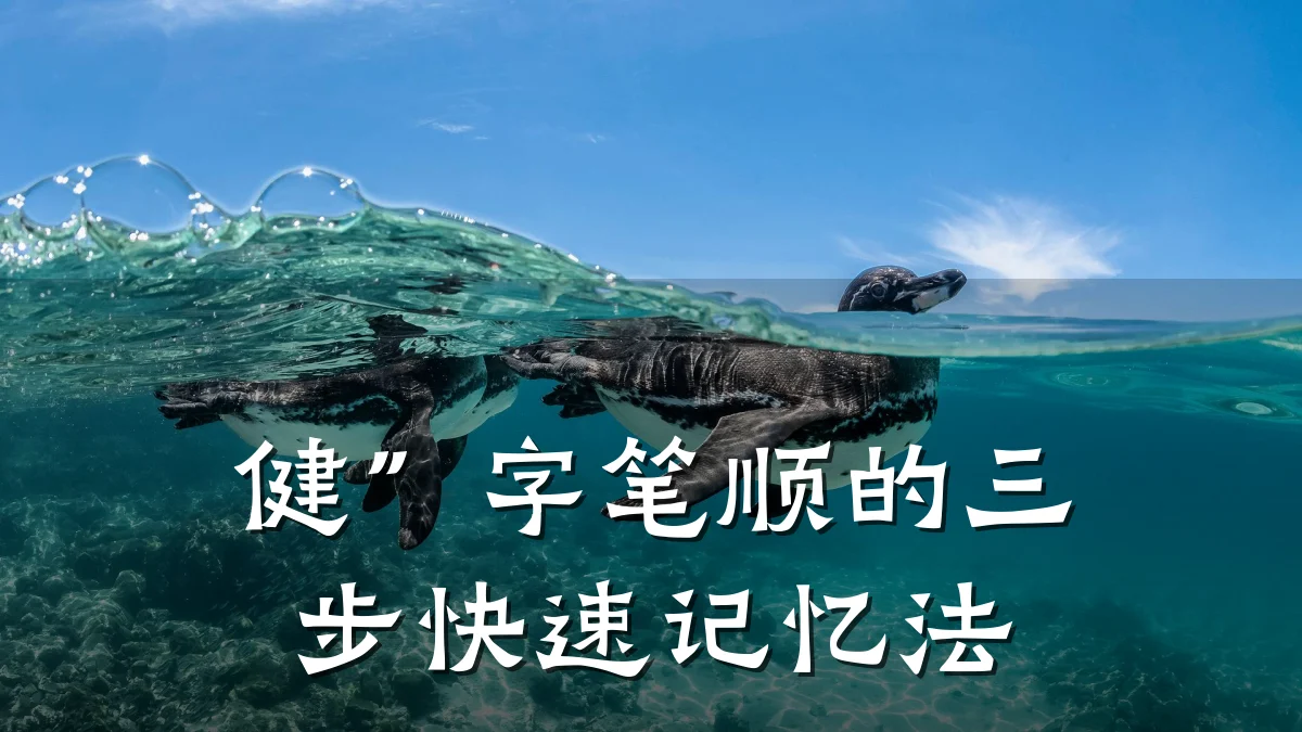 健”字笔顺的三步快速记忆法