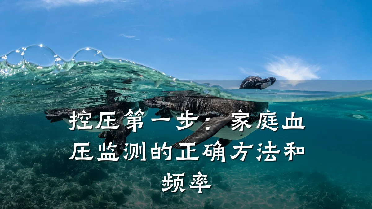 控压第一步:家庭血压监测的正确方法和频率