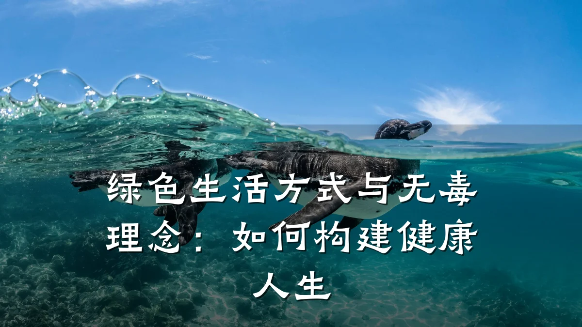 绿色生活方式与无毒理念:如何构建健康人生