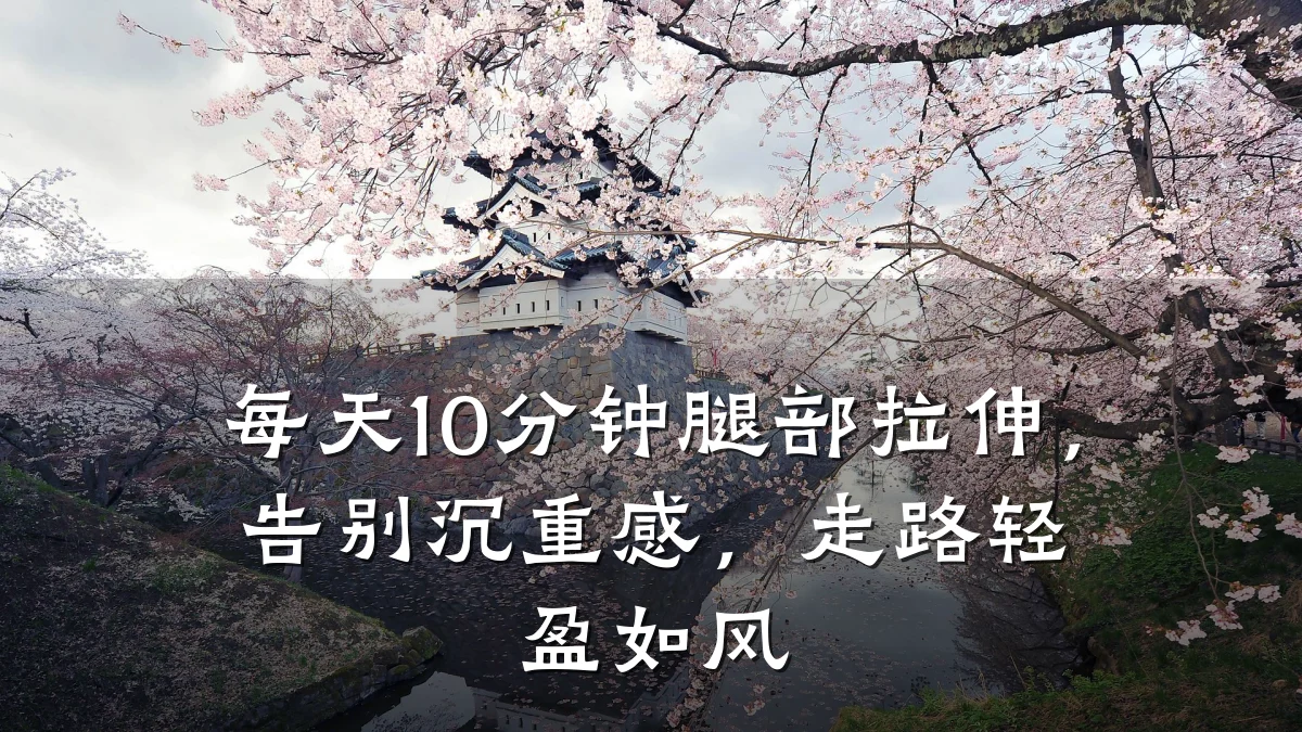 每天10分钟腿部拉伸,告别沉重感,走路轻盈如风