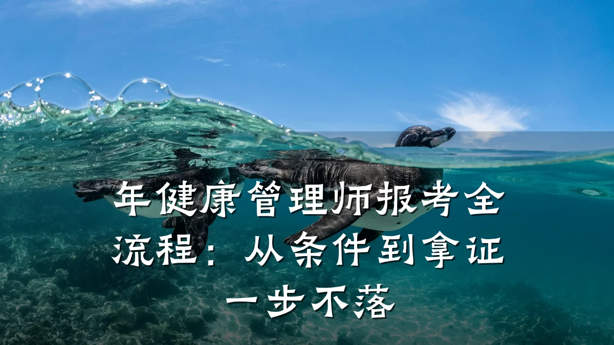 年健康管理师报考全流程:从条件到拿证一步不落