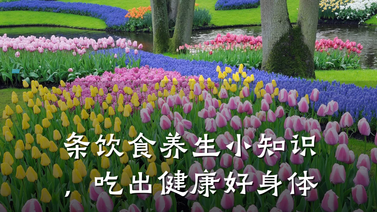 条饮食养生小知识,吃出健康好身体