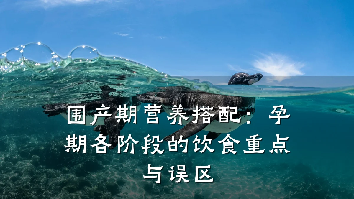 围产期营养搭配:孕期各阶段的饮食重点与误区