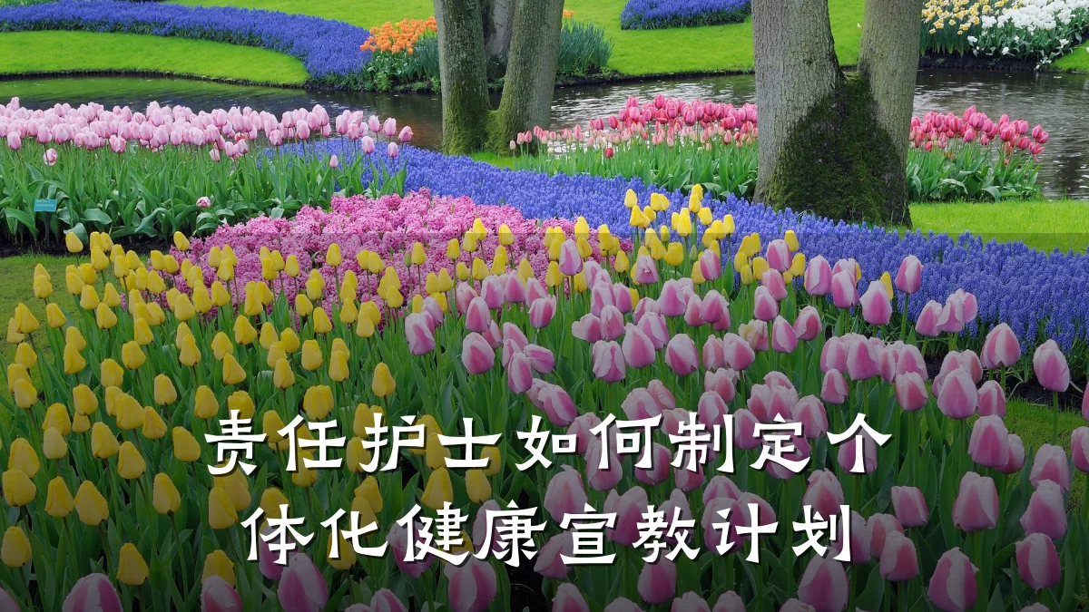 责任护士如何制定个体化健康宣教计划