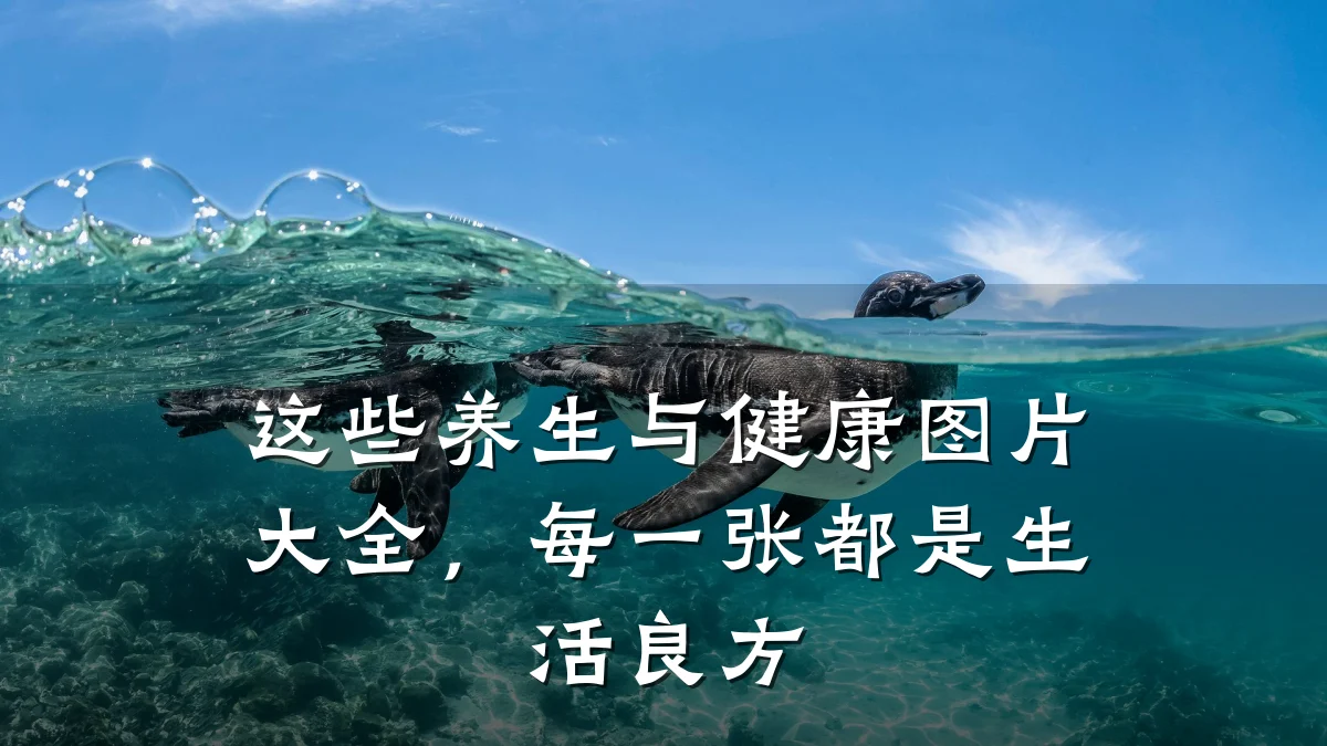 这些养生与健康图片大全,每一张都是生活良方