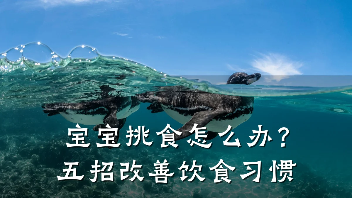 宝宝挑食怎么办?五招改善饮食习惯
