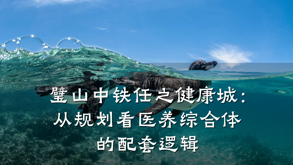 璧山中铁任之健康城:从规划看医养综合体的配套逻辑