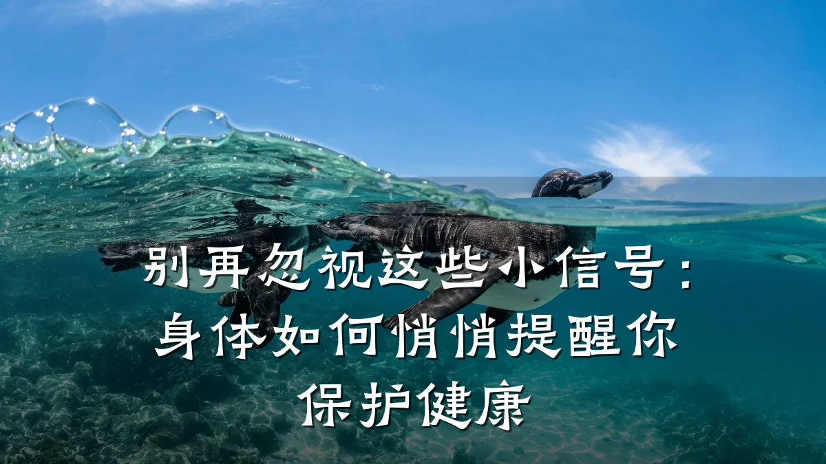 别再忽视这些小信号:身体如何悄悄提醒你保护健康