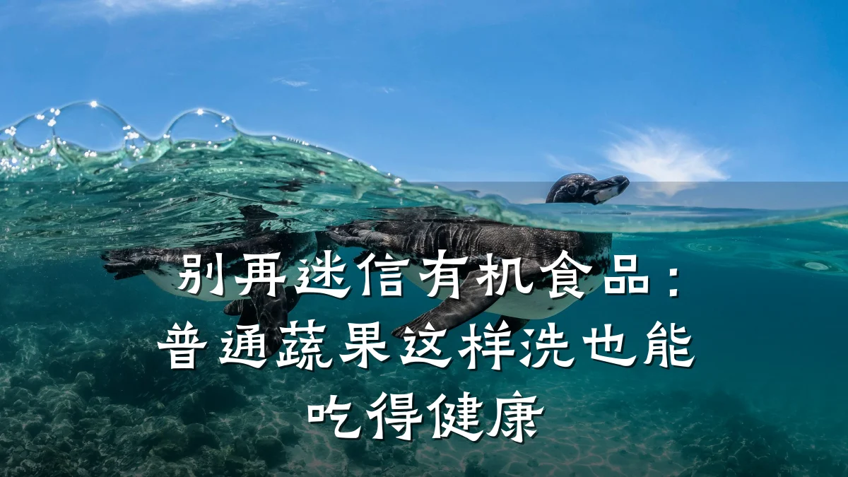 别再迷信有机食品:普通蔬果这样洗也能吃得健康