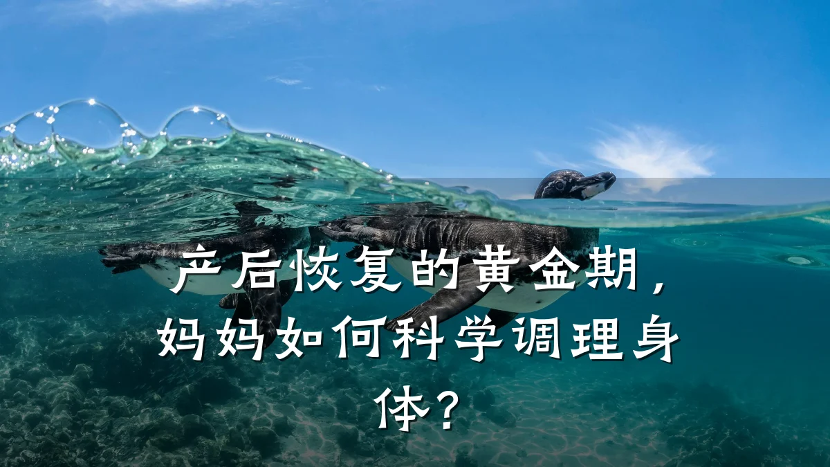 产后恢复的黄金期,妈妈如何科学调理身体?