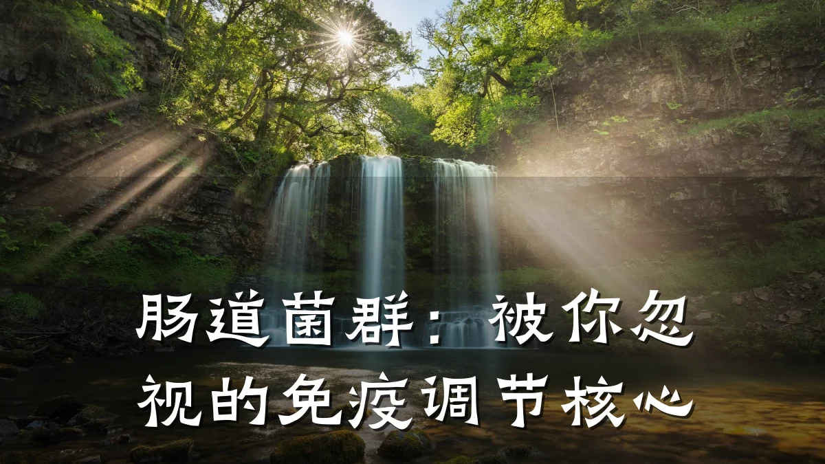 肠道菌群:被你忽视的免疫调节核心