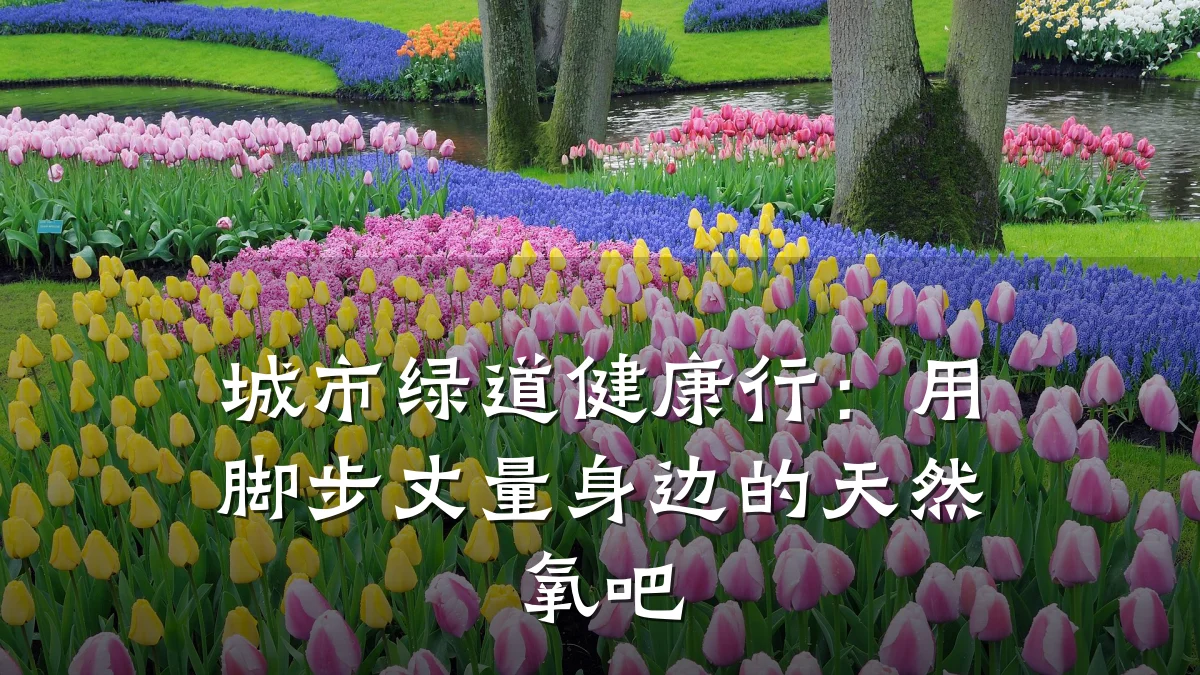 城市绿道健康行:用脚步丈量身边的天然氧吧