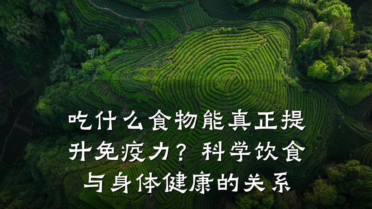 吃什么食物能真正提升免疫力?科学饮食与身体健康的关系