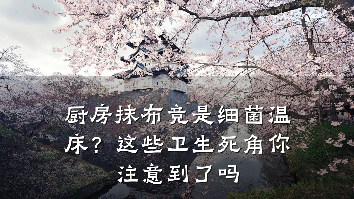 厨房抹布竟是细菌温床?这些卫生死角你注意到了吗