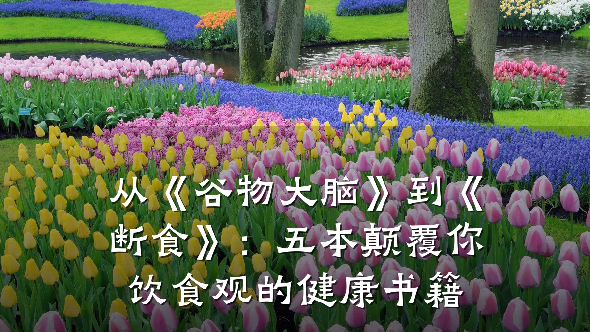 从《谷物大脑》到《断食》:五本颠覆你饮食观的健康书籍