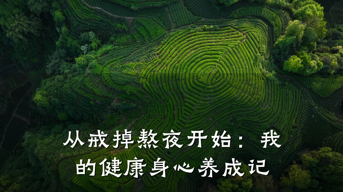 从戒掉熬夜开始:我的健康身心养成记