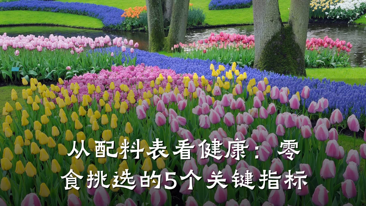 从配料表看健康:零食挑选的5个关键指标