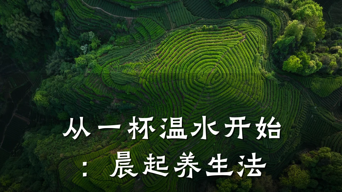 从一杯温水开始:晨起养生法