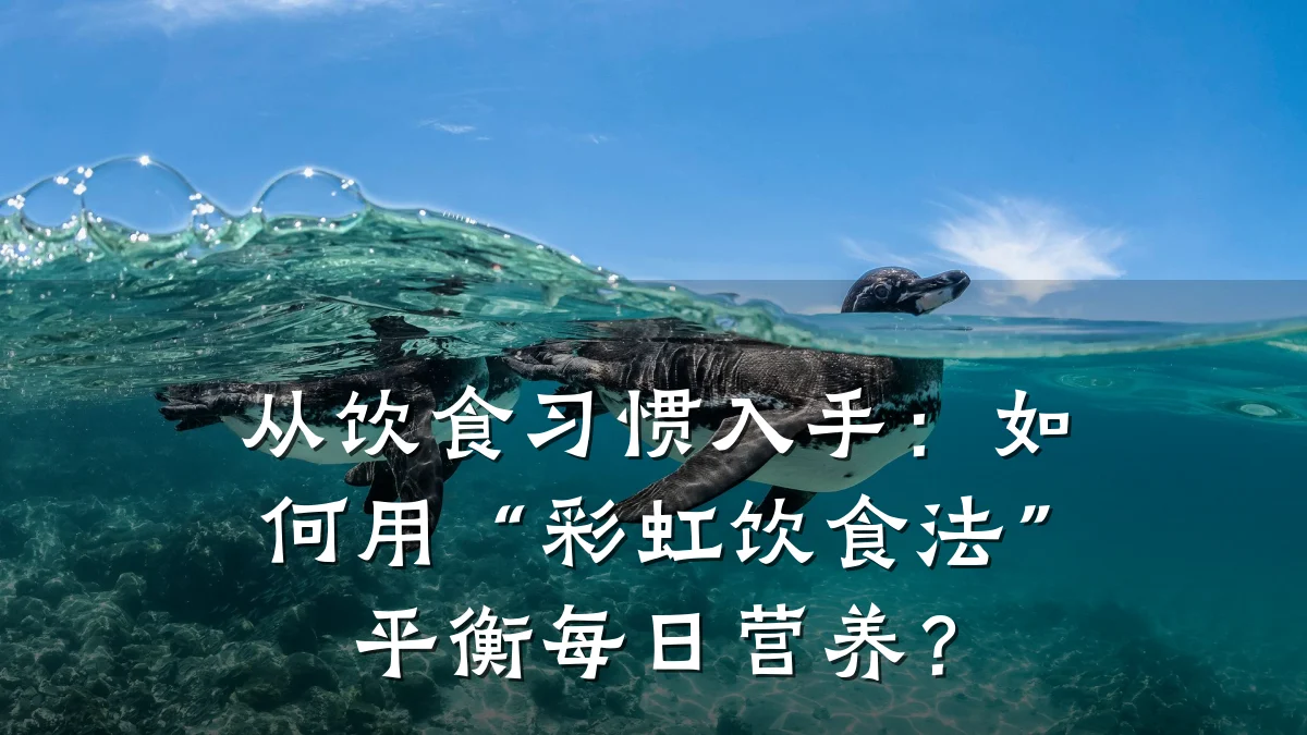从饮食习惯入手:如何用“彩虹饮食法”平衡每日营养?