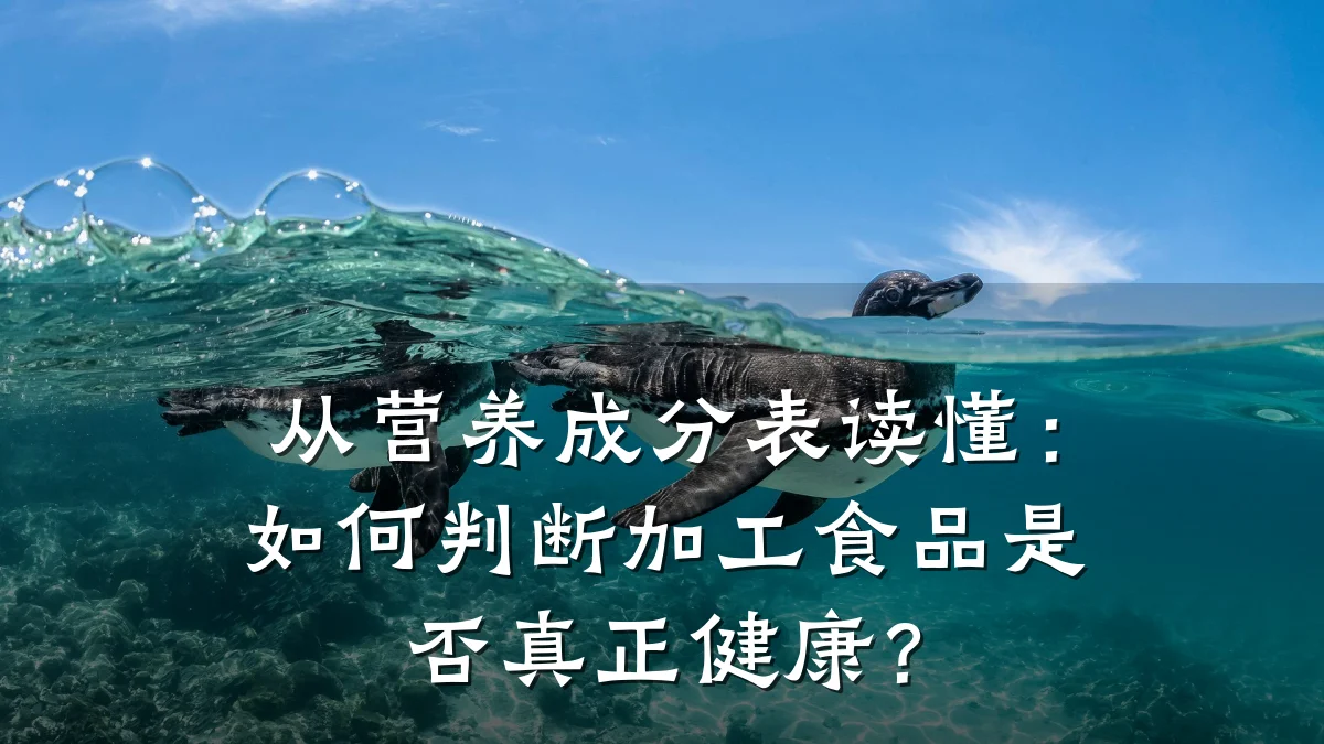 从营养成分表读懂:如何判断加工食品是否真正健康?