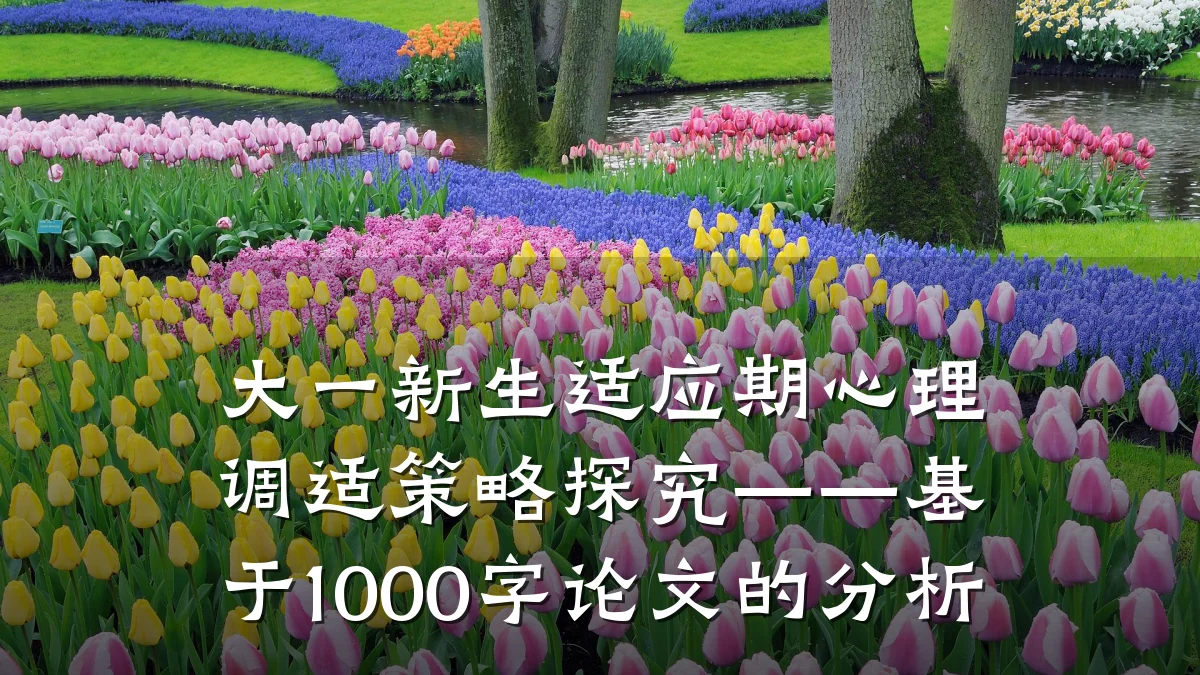 大一新生适应期心理调适策略探究——基于1000字论文的分析