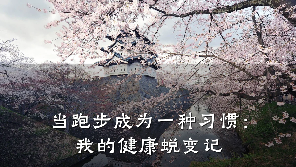 当跑步成为一种习惯:我的健康蜕变记