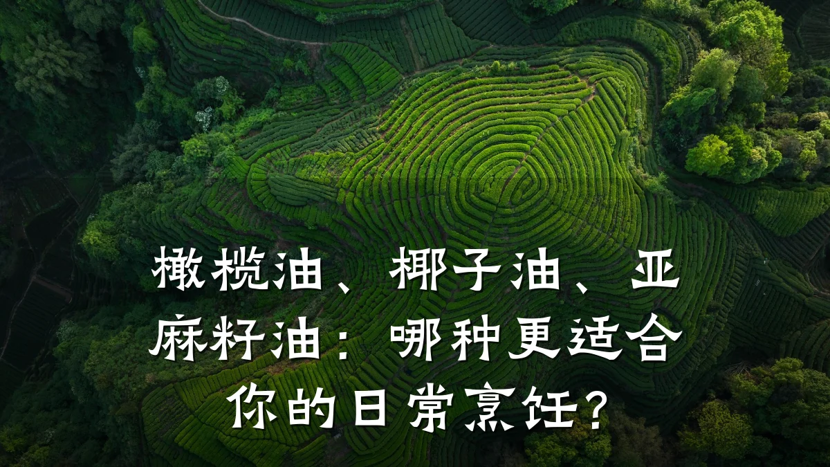橄榄油、椰子油、亚麻籽油:哪种更适合你的日常烹饪?