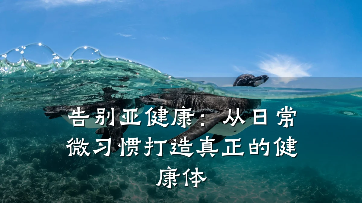告别亚健康:从日常微习惯打造真正的健康体