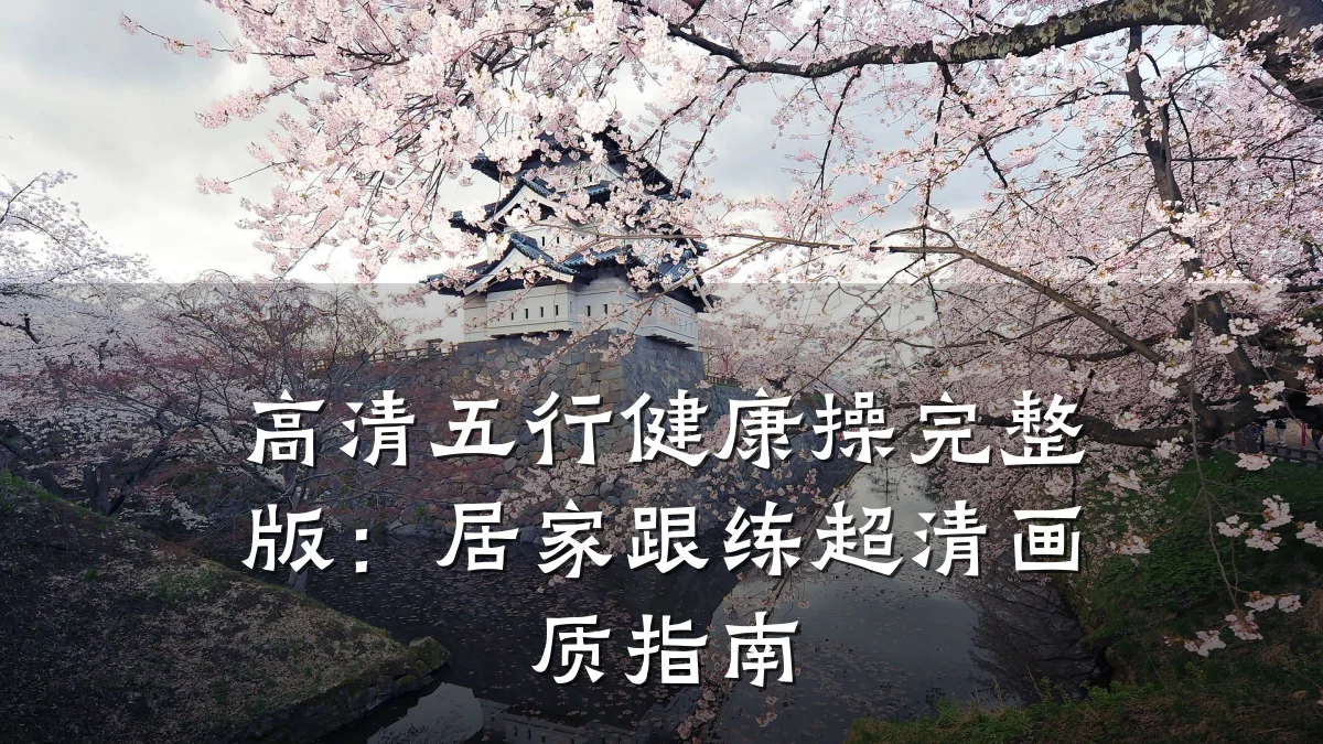 高清五行健康操完整版:居家跟练超清画质指南