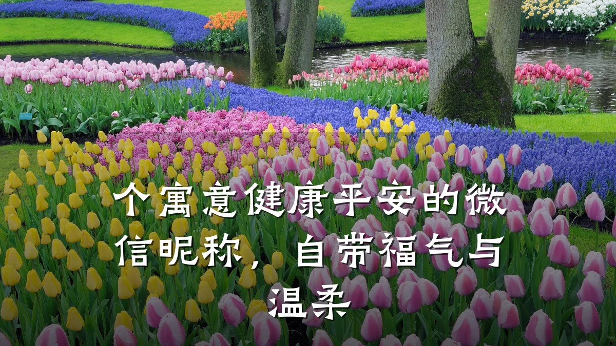 个寓意健康平安的微信昵称,自带福气与温柔
