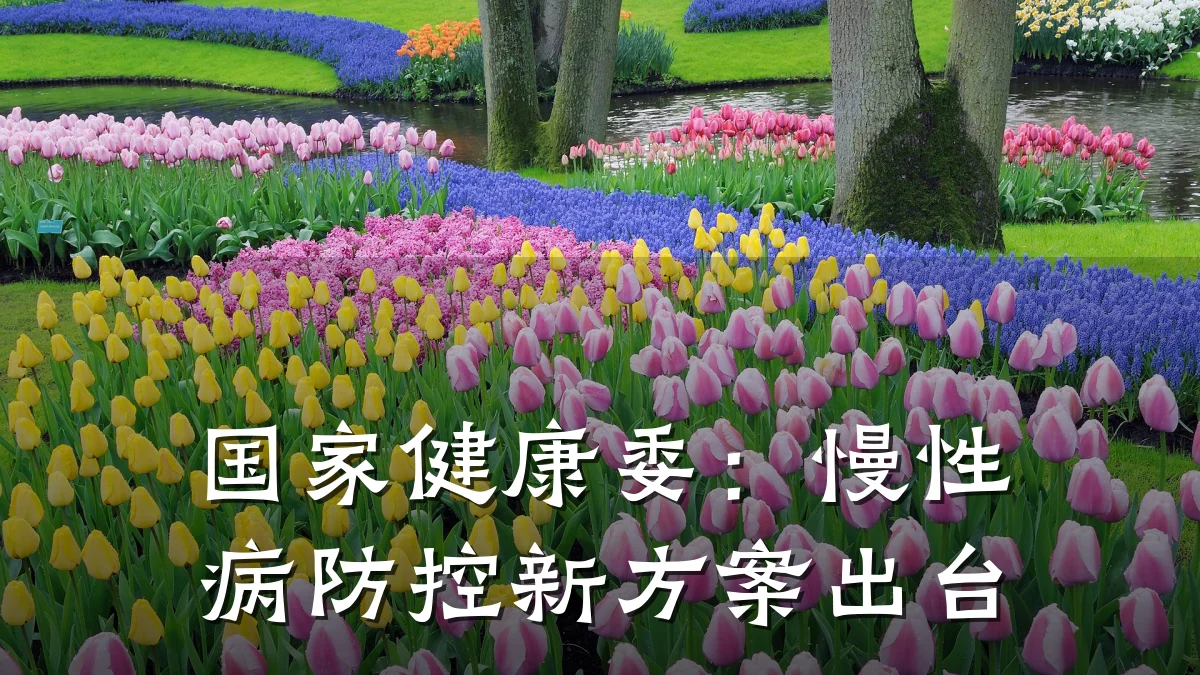 国家健康委:慢性病防控新方案出台