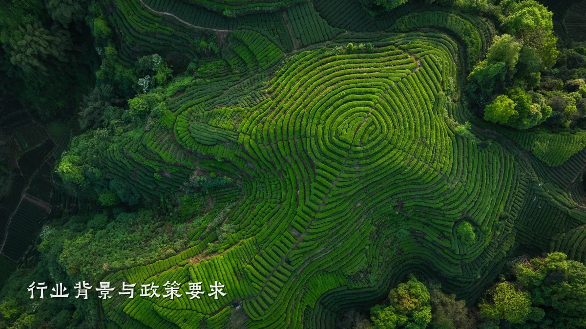 行业背景与政策要求