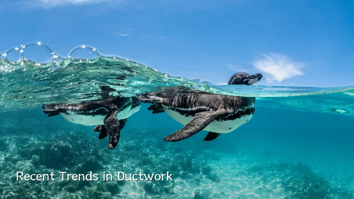 Recent Trends in Ductwork