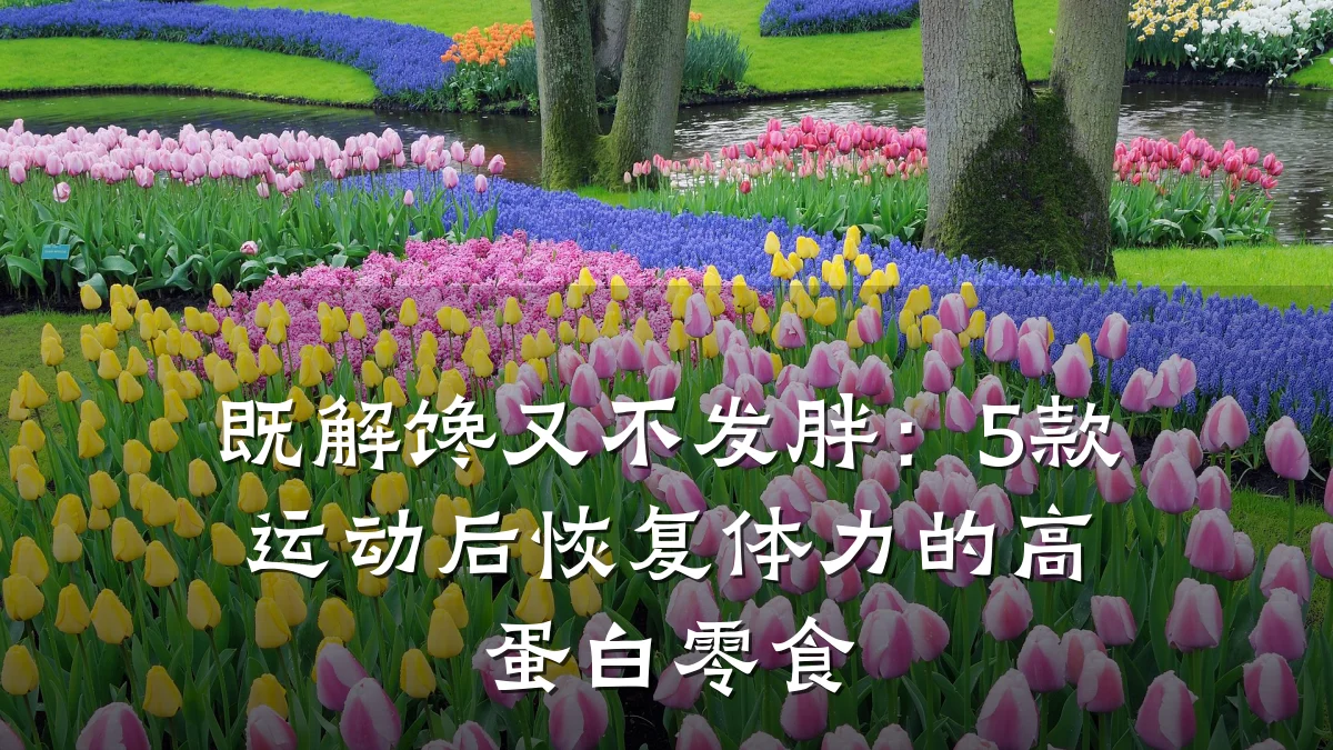 既解馋又不发胖:5款运动后恢复体力的高蛋白零食